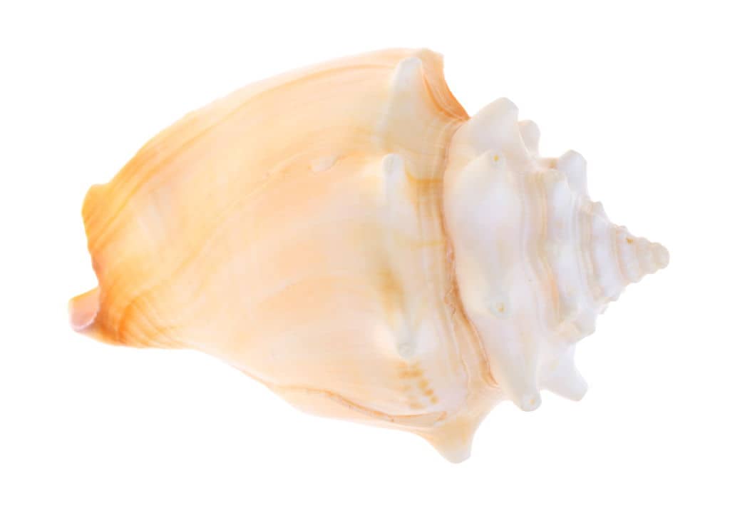 inteligencias múltiples