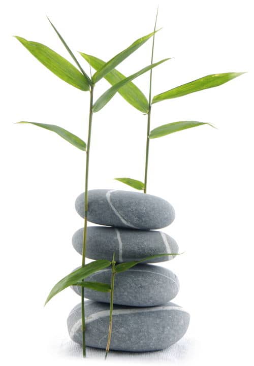 Psicólogo Les Fonts Terrassa